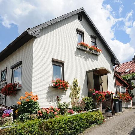 Ferienwohnung Bradsch Ilmenau Værelse billede