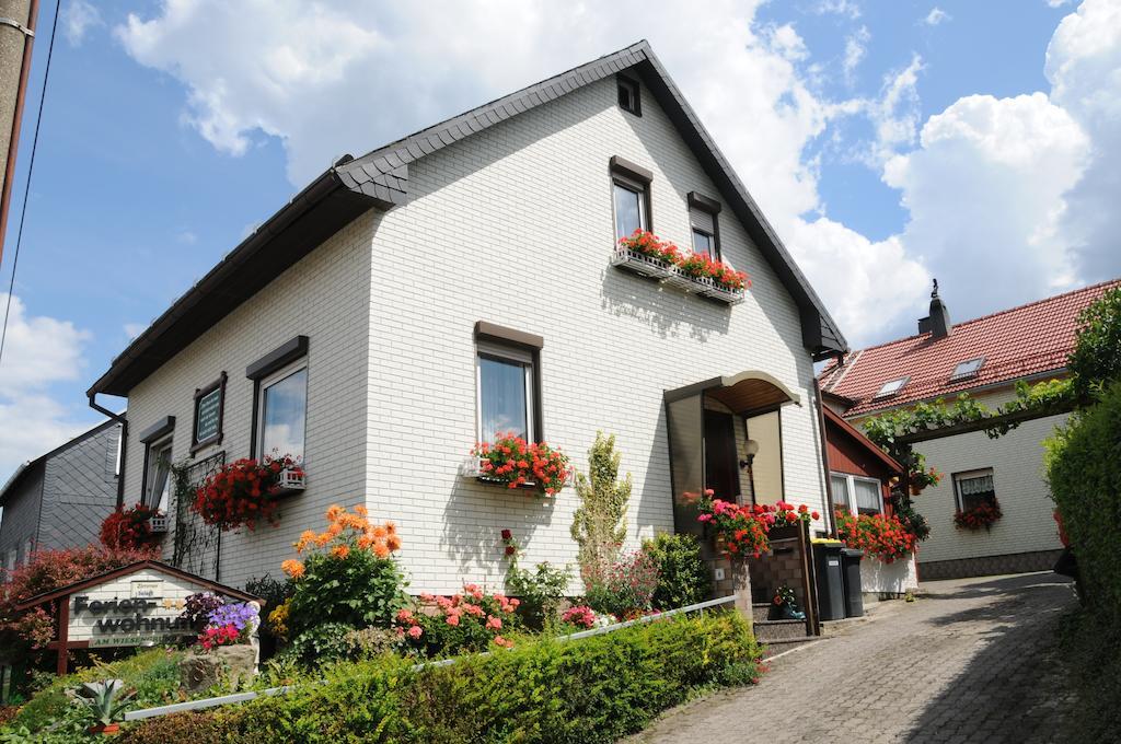 Ferienwohnung Bradsch Ilmenau Værelse billede
